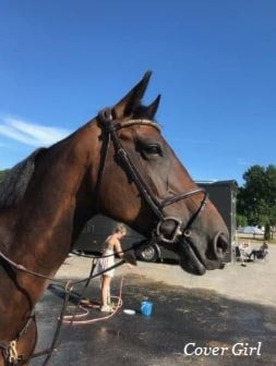 D-stevne Arendal og Grimstad Rideklubb 05-08.juli 2018
